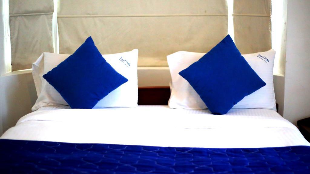 Hotel Royal Hills Nuwara Eliya Extérieur photo